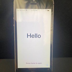 Apple iPhone 5S 32GB in Space Gray for Unlocked